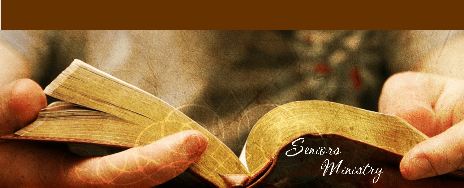Two hands holding a bible during a bible study and the words "Seniors Ministry".